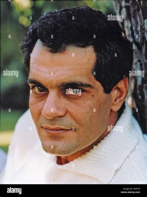 Actor Egipcio Omar Sharif Cerca De 1960 Fotografía De Stock Alamy