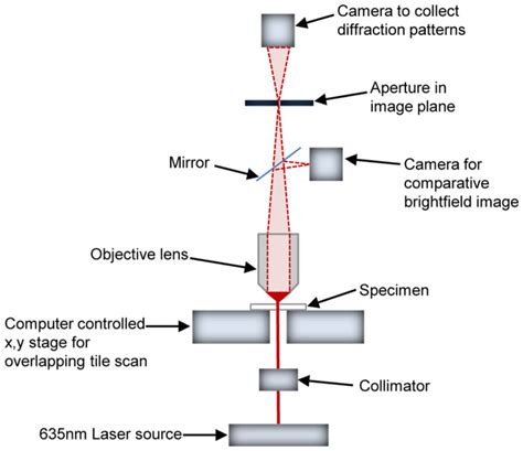 A Schematic Diagram Of The Light Path In The Ptychographic Microscope