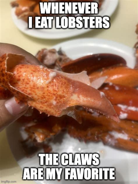 Foodz Lobster Memes And S Imgflip