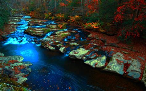 Wallpaper Landscape Forest Fall Rock Nature Reflection River
