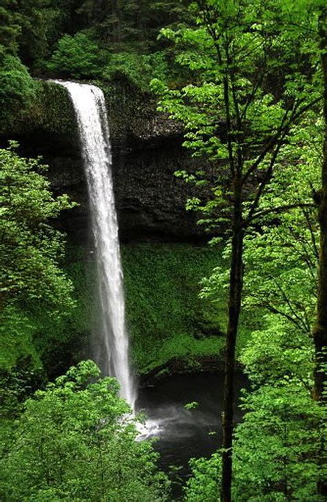 Silver Falls State Park Has A Waterfall Trail Made In Heaven