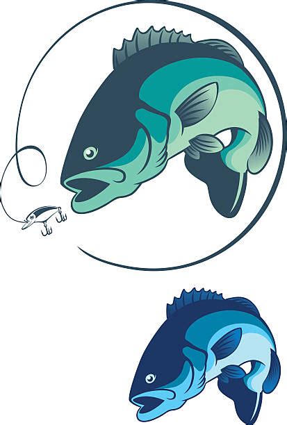 Download Striped Bass Illustrations, Royalty-Free Vector Graphics & Clip Art - iStock