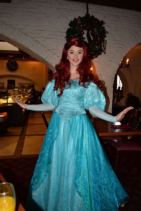It's one of the newest disney. Walt Disney World Epcot Akershus Royal Dining Princess ...