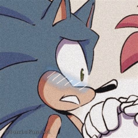 Sonic And Shadow Matching Pfp