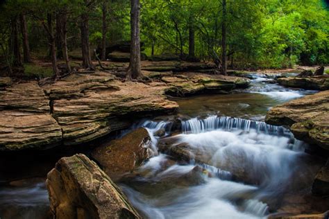 Maybe you would like to learn more about one of these? JaredDavidsonPhotography: Stone Creek Park Flower Mound ...