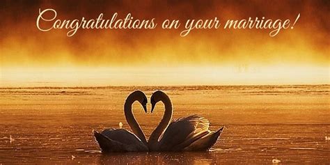 The Best Ideas For Congratulation On Your Marriage Quotes Home