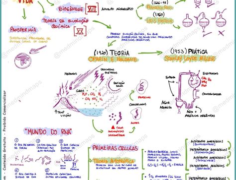 Mapa Mental Sobre A Origem Da Vida EDULEARN