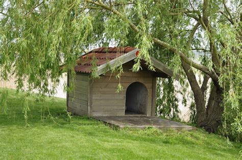 Don't let the name fool you. 34 Doggone Good Backyard Dog House Ideas