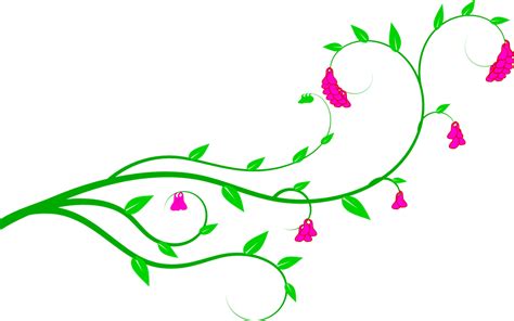 19 Flowers Vines Design Graphics Images Graphic Design Flowers Clip