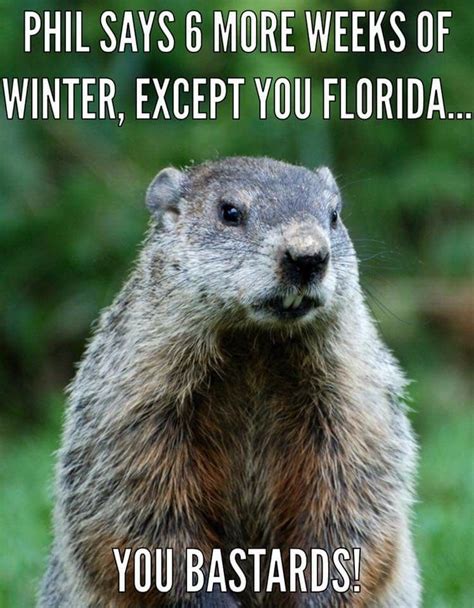 Groundhog Day Meme Know Your Meme Simplybe