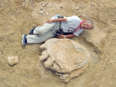 Dinosaur Footprint Among Largest On Record Found In Gobi Desert The Japan Times