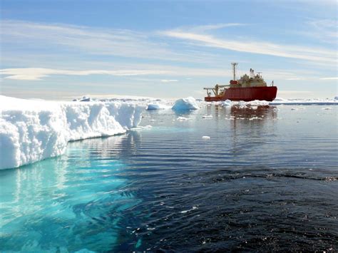 Uncertainty Of Future Southern Ocean Carbon Dioxide Uptake Cut In Half
