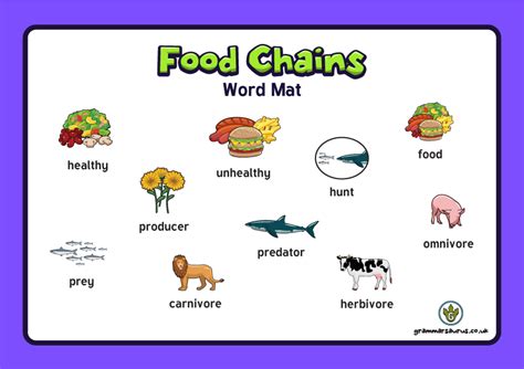 The food chain in this chart is a simplified one in respect of the wildebeest. Year 4 Science - Animals including Humans - The Food Chain ...