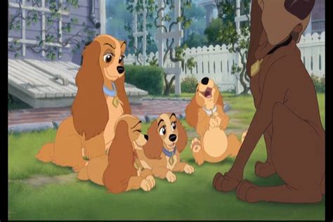 Lady And The Tramp 2 Screencaps Lady And The Tramp Ii Image 15595418