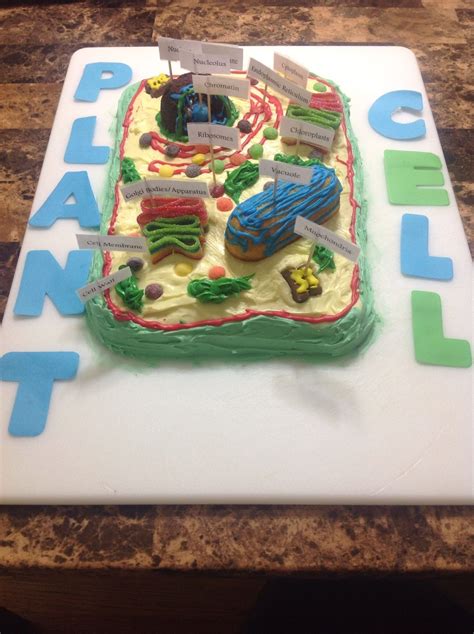 10 Ideal Edible Plant Cell Project Ideas 2024