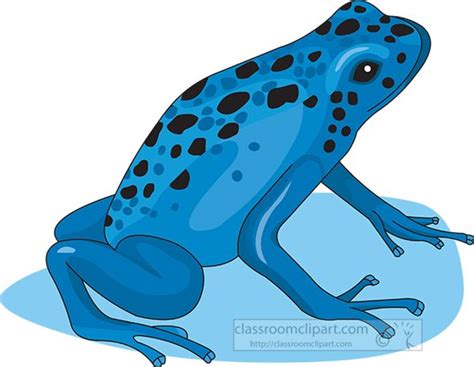 Amphibian Clipart Clipart Photo Image Blue Poison Dart Frog Clipart