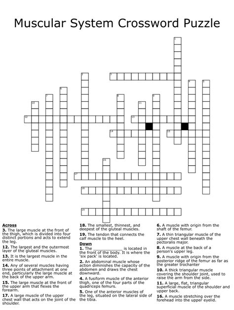 Muscle Anatomy Crossword Puzzle Answers