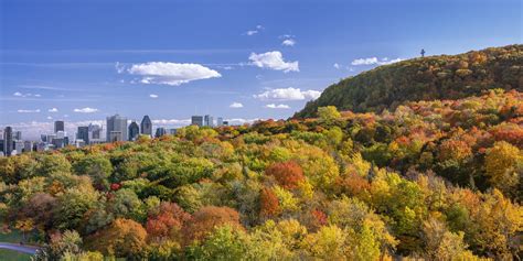 City sights from Mount Royal and Outremont | Tourisme Montréal