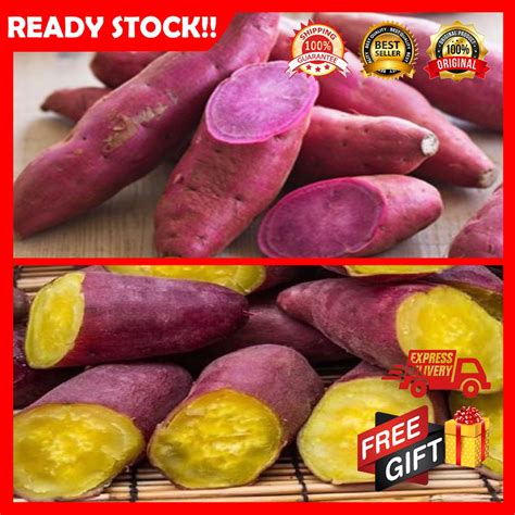 Free T Ubi Keledek Madukuning Purple And Oren Sweet Potato