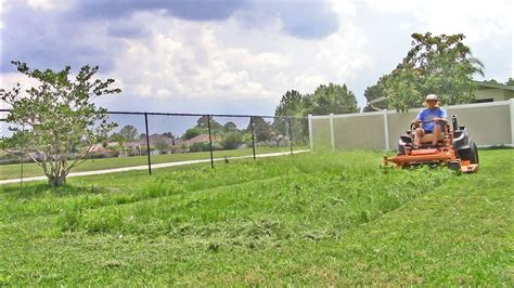 This is a bit taller than some grasses, but it needs to stay in this range to be able to remain healthy. Lawn care vlog #24 Return to tall thick grass yard - YouTube