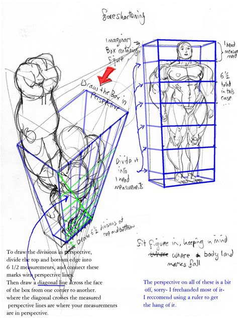 Anatomy Foreshortening By Jebriodo On Deviantart Perspective Sketch