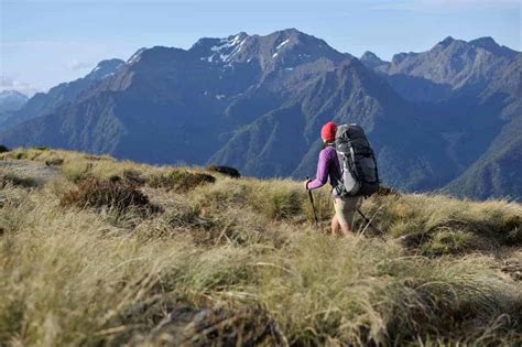 5 Must See Scenic Hiking Trails In New Zealand Venture Thrill