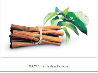 Lidah merupakan suatu massa otot lurik yang diliputi oleh membran mukosa. Blog Panas: Tahukah anda, Rempah masakan didapur boleh ...