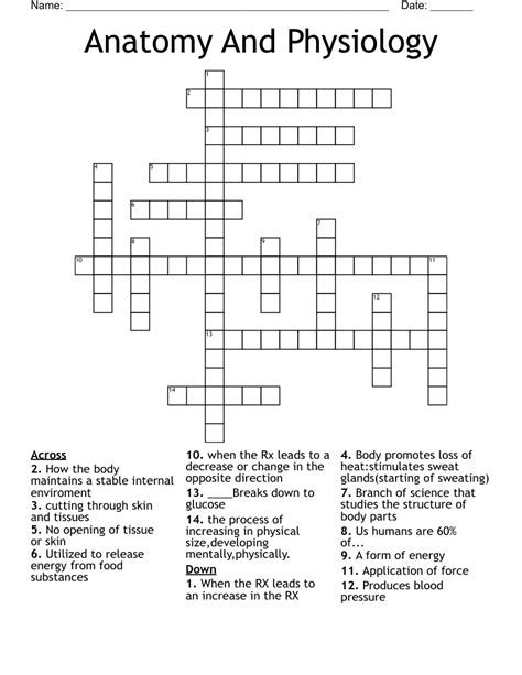 Anatomy And Physiology Crossword Wordmint