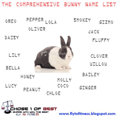 Good Rabbit Names Cheap Online Shopping