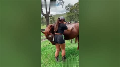 Horse Licking Girls Butts Youtube