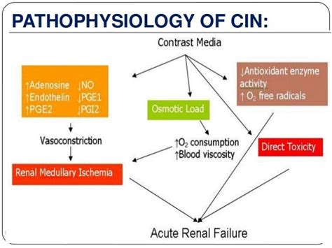 Contrast Induced Nephropathy