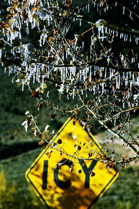 Free Stock Photo Of Icy Roads Sign With Holes And Frozen Tree