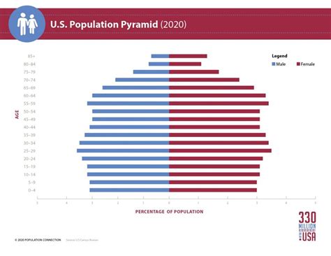 Us Population Pyramid Infographic Population Education