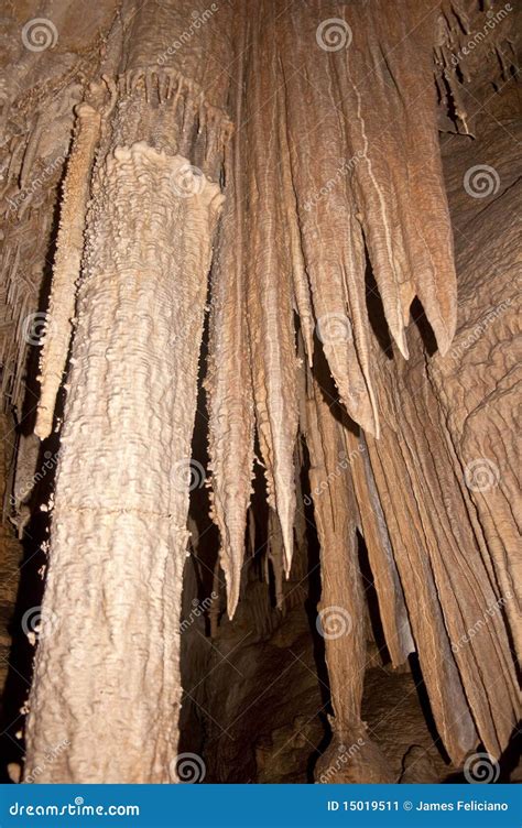 Cave Column From Lehman Cave Stock Image Image Of Park Spelunking