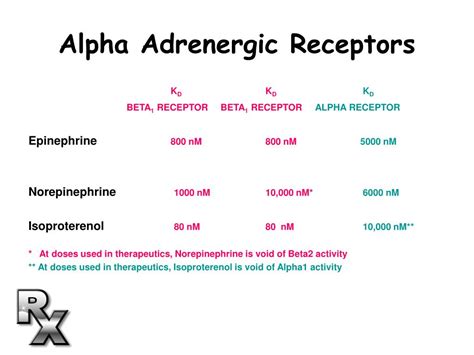 Ppt The Pharmacology Of Adrenergic Receptors Powerpoint Presentation