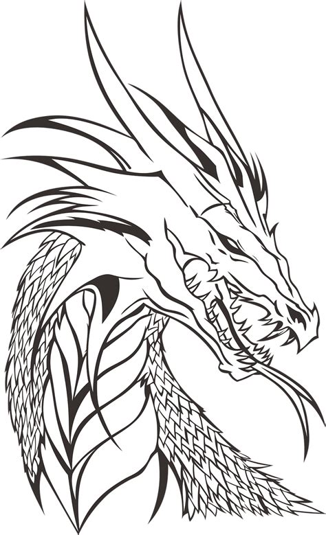 4+ Free Dragon+No & Dragon Fruit Images | Cool dragon drawings, Dragon coloring page, Dragon drawing