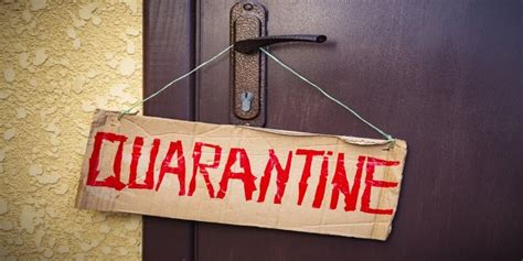 10 Fun Things To Do At Home During Quarantine To Banish Boredom