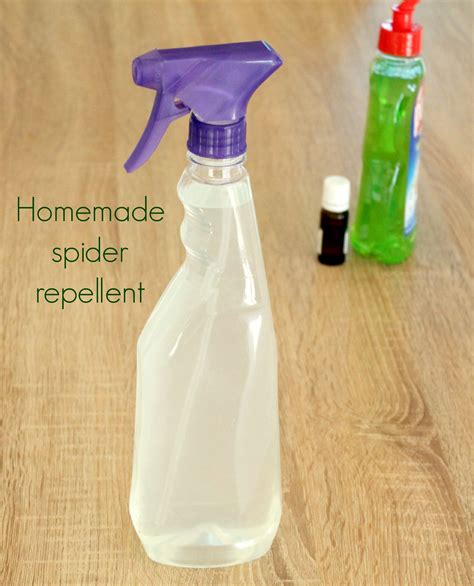 Homemade Natural Spider Repellent This Natural Homemade Spider