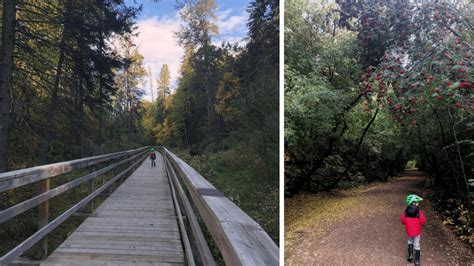 Three Edmonton Trails to Discover This Fall with Your Kids - Raising ...