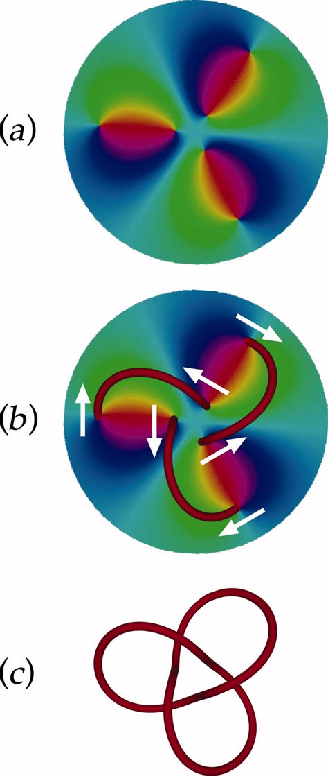Propagation Of An Optical Vortex Trefoil Knot A The Phase Pattern