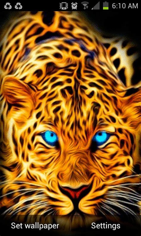 Top 96 About Tiger With Blue Eyes Wallpaper Update 2023