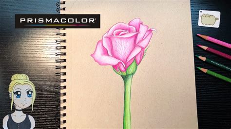 How To Draw A Rose ~ Prismacolor Pencils Youtube