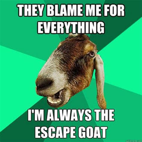 The Best Goat Memes Jokes And Puns Goats Funny Goats Funny Goat Memes
