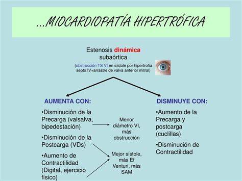 Encuentra los mejores especialistas en miocardiopatía hipertrófica en españa y resuelve tus dudas preguntando a los expertos. PPT - MIOCARDIOPATÍAS PowerPoint Presentation - ID:856666