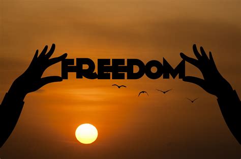 All About Freedom