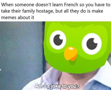 10 Duolingo Memes Proving That Creep Of An Owl Is Out To Get You