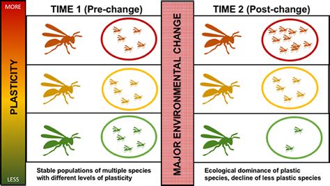 Frontiers A Potential Role For Phenotypic Plasticity In Invasions And