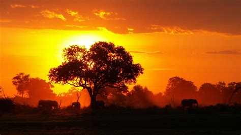 African Sunset Wallpapers Top Free African Sunset Backgrounds
