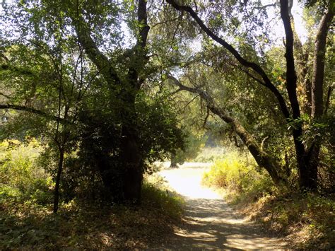 Rancho San Antonio Open Space Preserve Lonely Hiker
