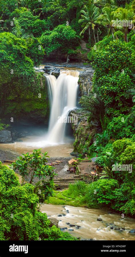 Amazing Tegenungan Waterfall Near Ubud In Bali Indonesia Stock Photo